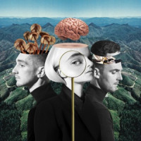Clean Bandit, Zara Larsson - Symphony