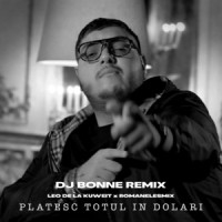 Leo de la Kuweit & RoMANELEsMIX - Platesc totul in dolari (Dj Bonne Remix)
